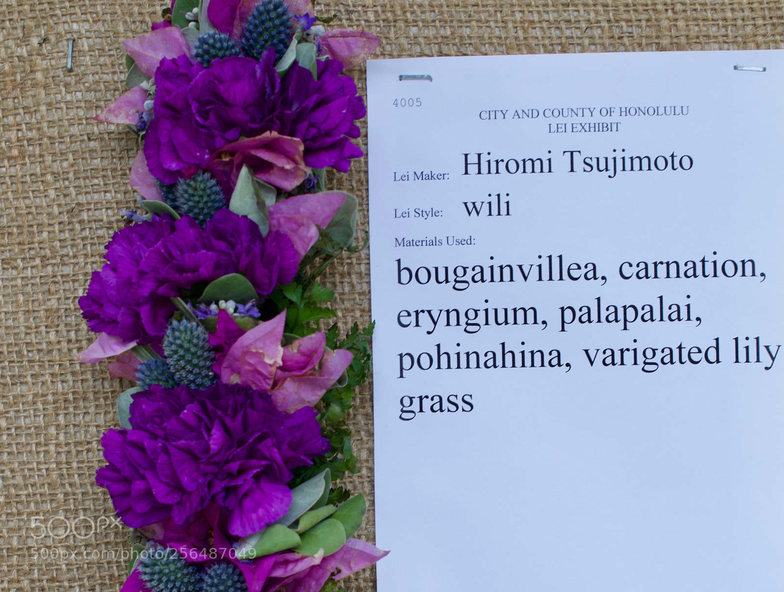 Nikon D3200 sample photo. May day is lei photography
