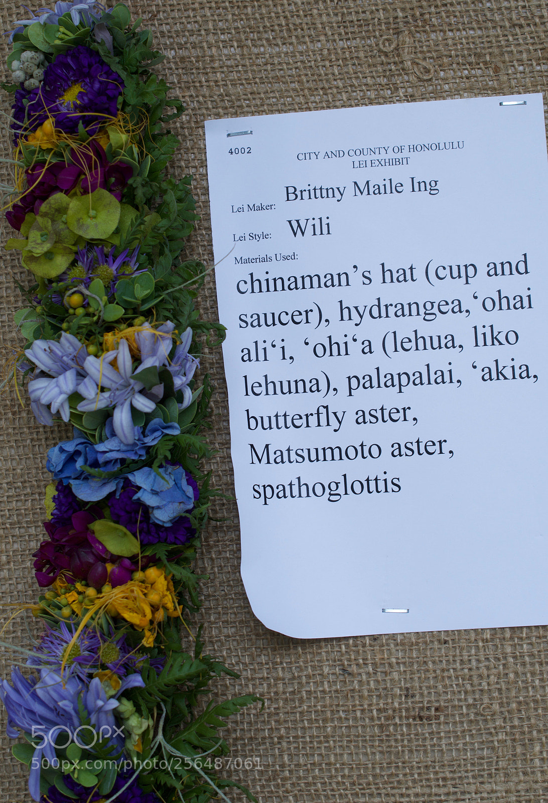 Nikon D3200 sample photo. May day is lei photography