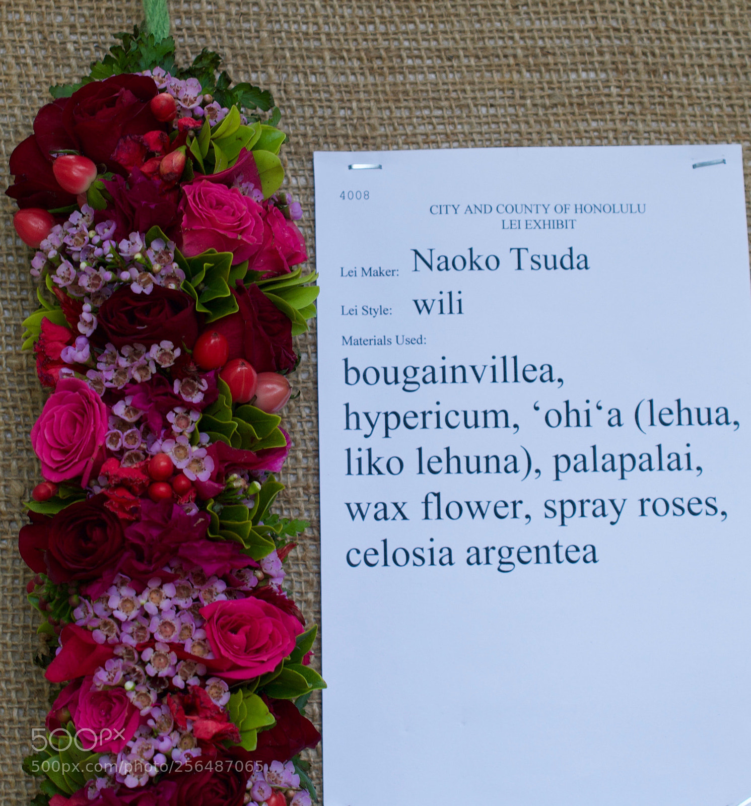Nikon D3200 sample photo. May day is lei photography