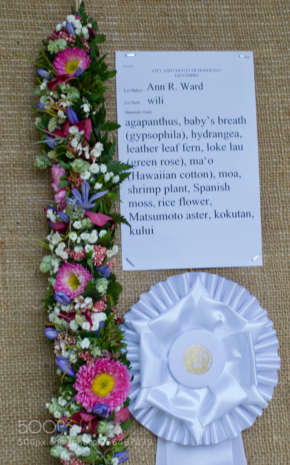 Nikon D3200 sample photo. May day is lei photography