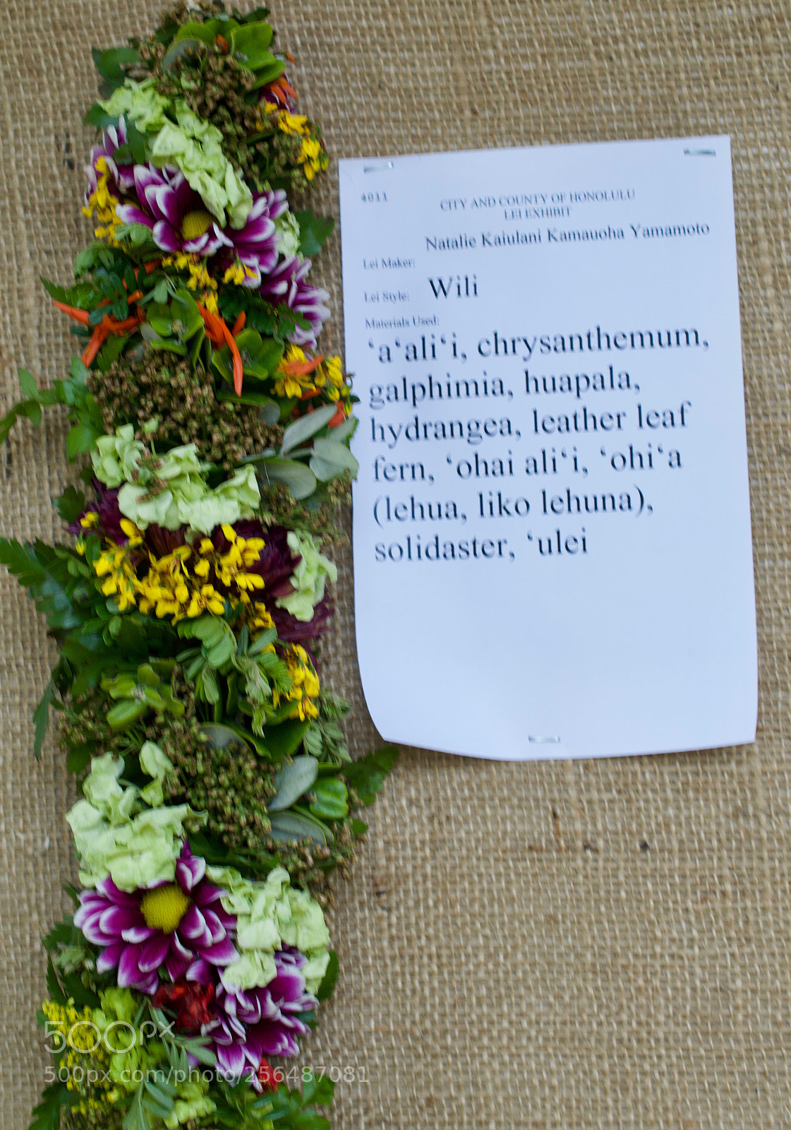Nikon D3200 sample photo. May day is lei photography