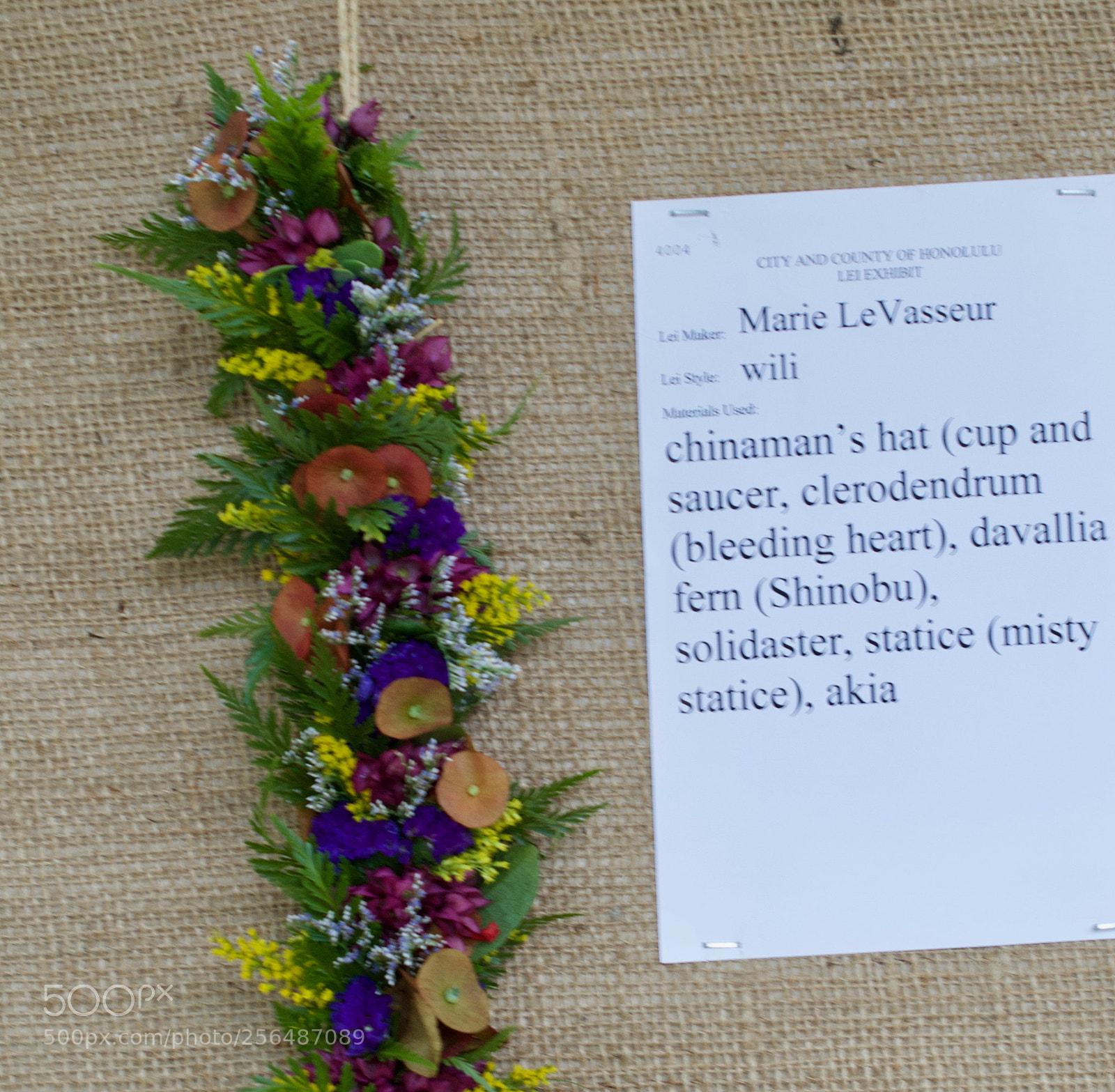 Nikon D3200 sample photo. May day is lei photography