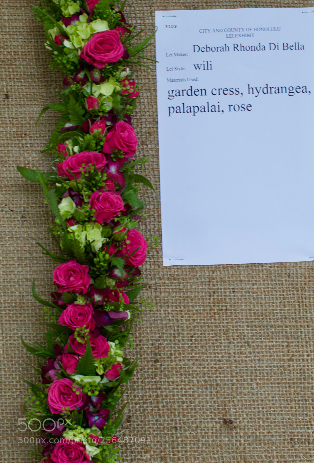 Nikon D3200 sample photo. May day is lei photography