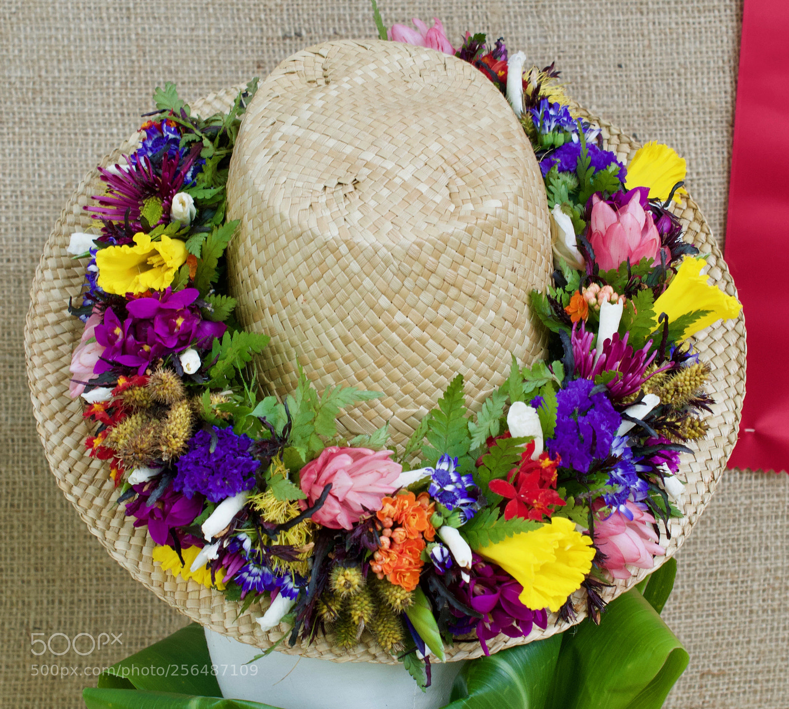 Nikon D3200 sample photo. May day is lei photography