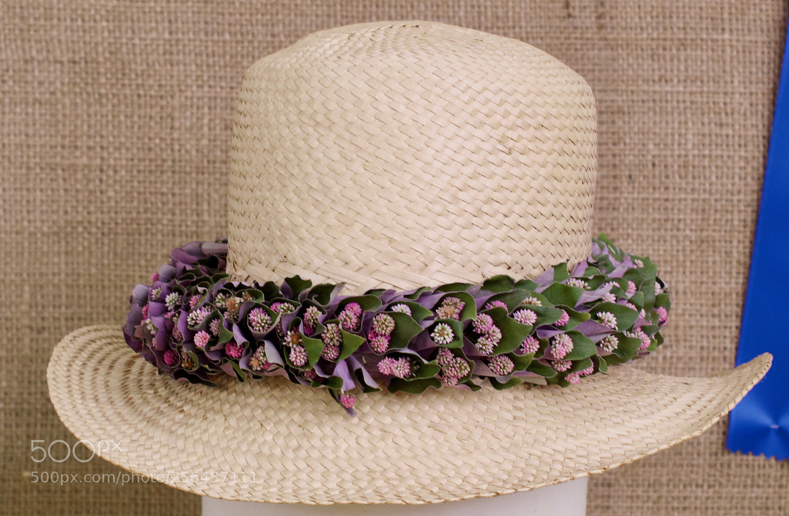 Nikon D3200 sample photo. May day is lei photography