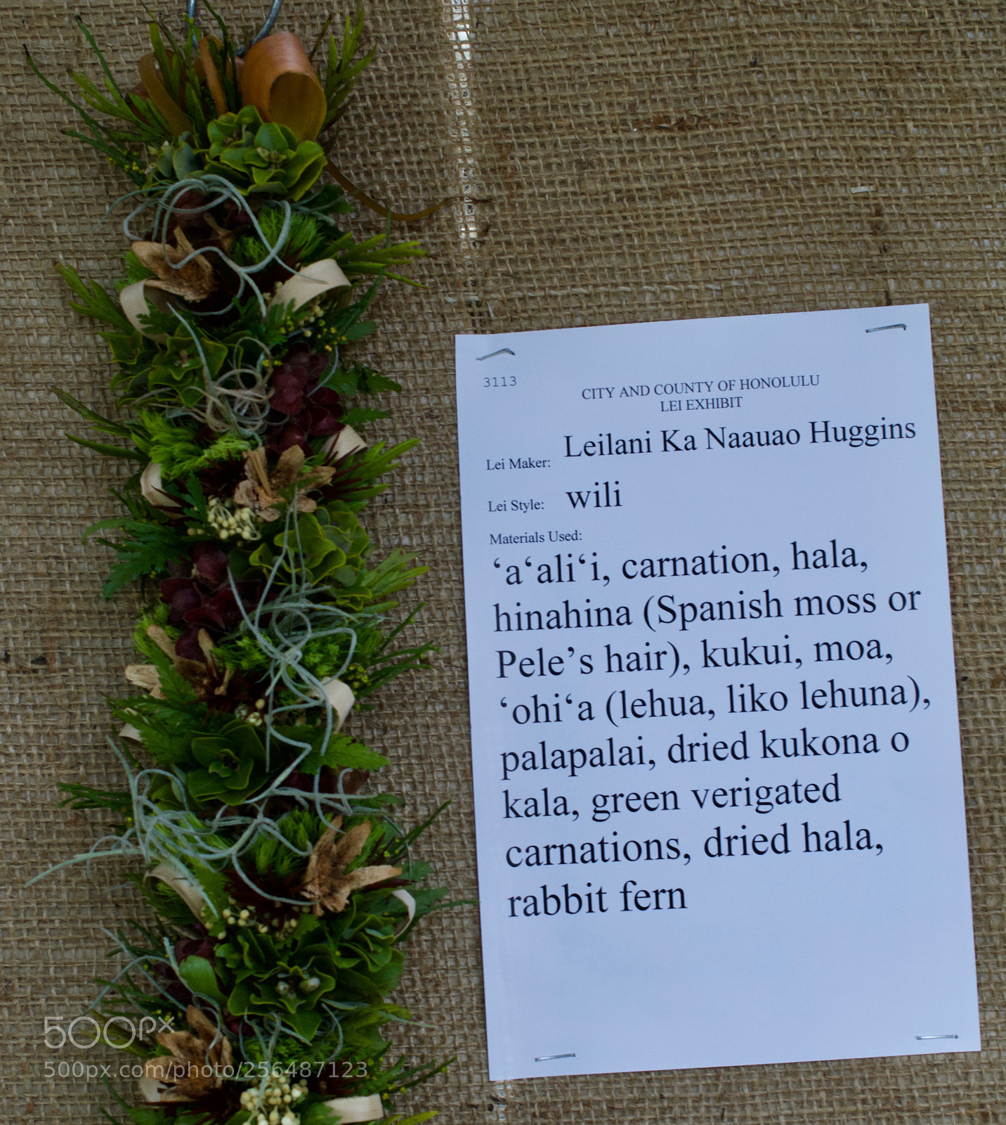 Nikon D3200 sample photo. May day is lei photography