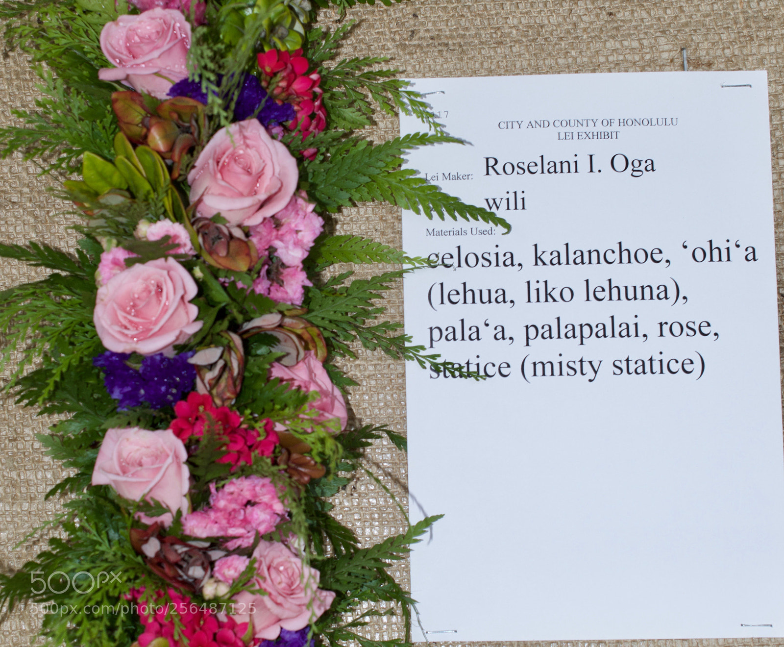 Nikon D3200 sample photo. May day is lei photography