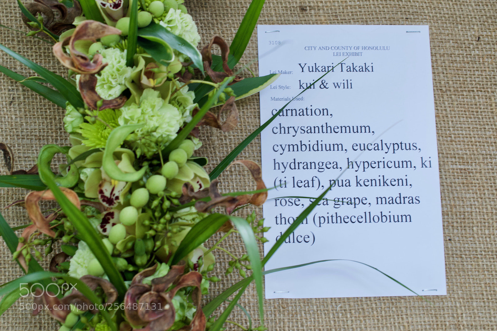 Nikon D3200 sample photo. May day is lei photography