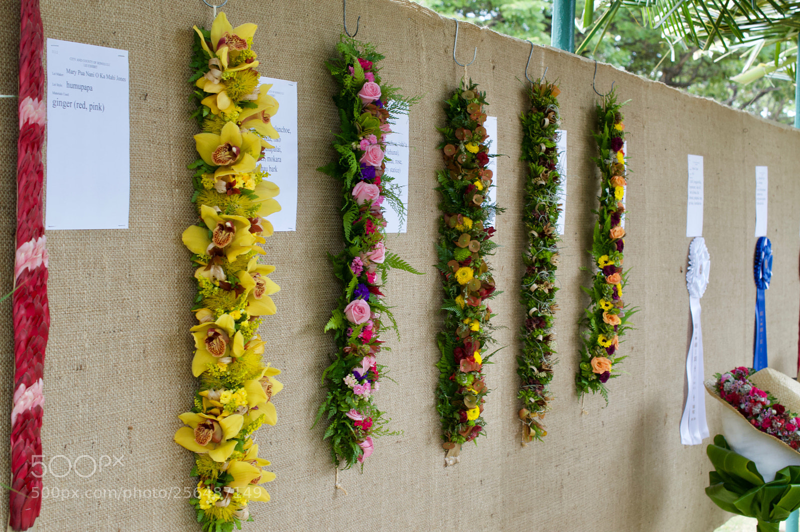 Nikon D3200 sample photo. May day is lei photography