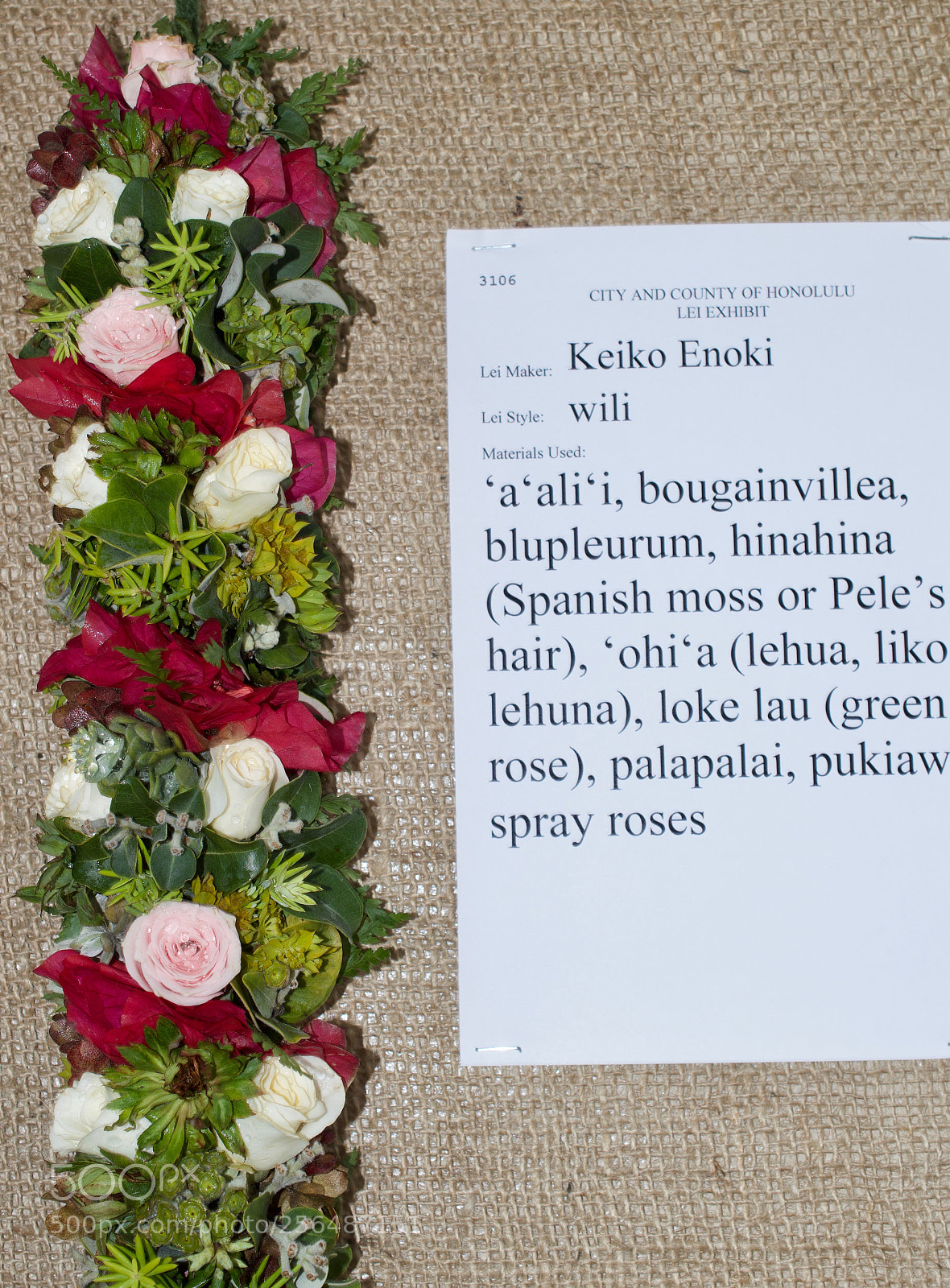 Nikon D3200 sample photo. May day is lei photography