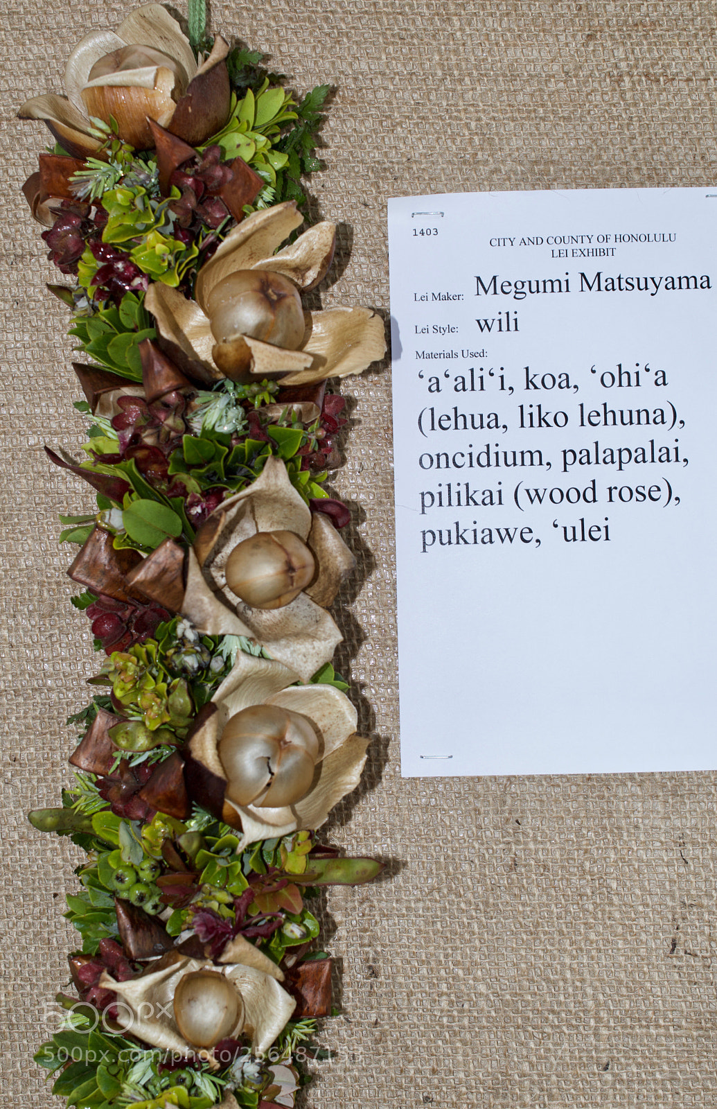 Nikon D3200 sample photo. May day is lei photography