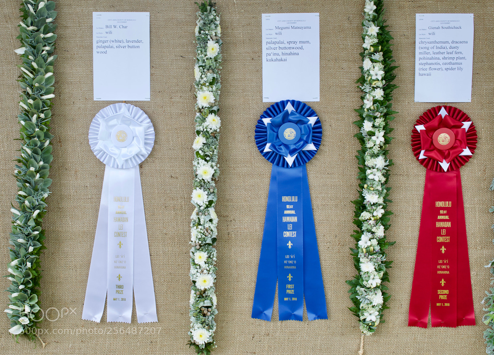 Nikon D3200 sample photo. May day is lei photography