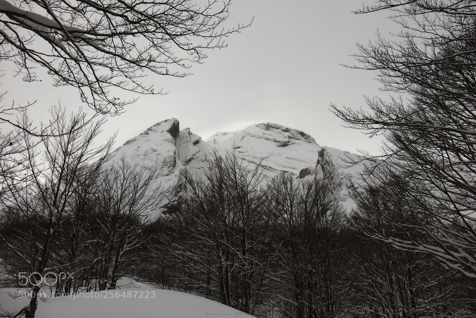 Fujifilm X-T1 sample photo. To the summit photography