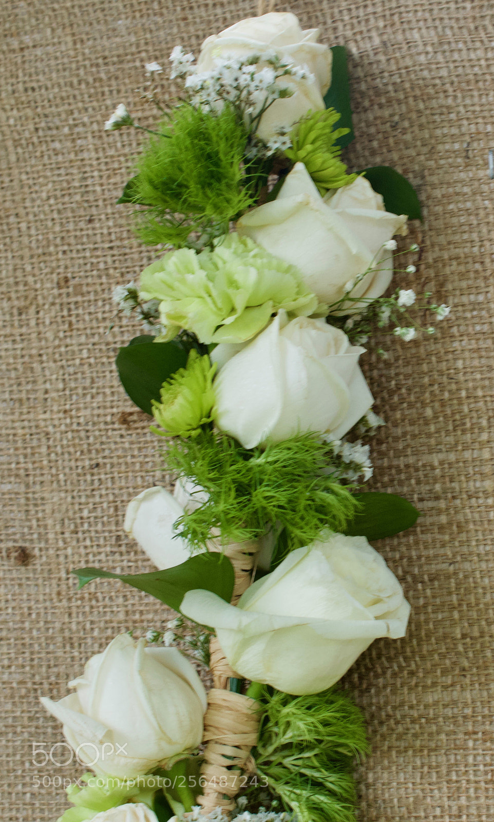 Nikon D3200 sample photo. May day is lei photography
