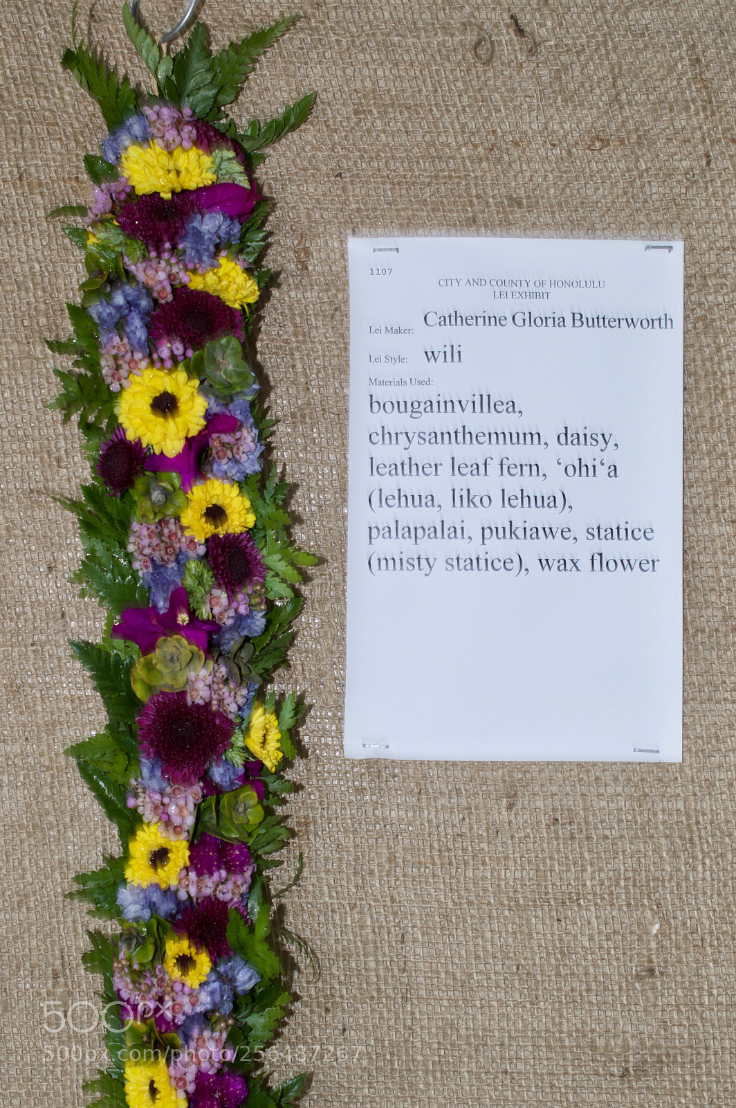 Nikon D3200 sample photo. May day is lei photography