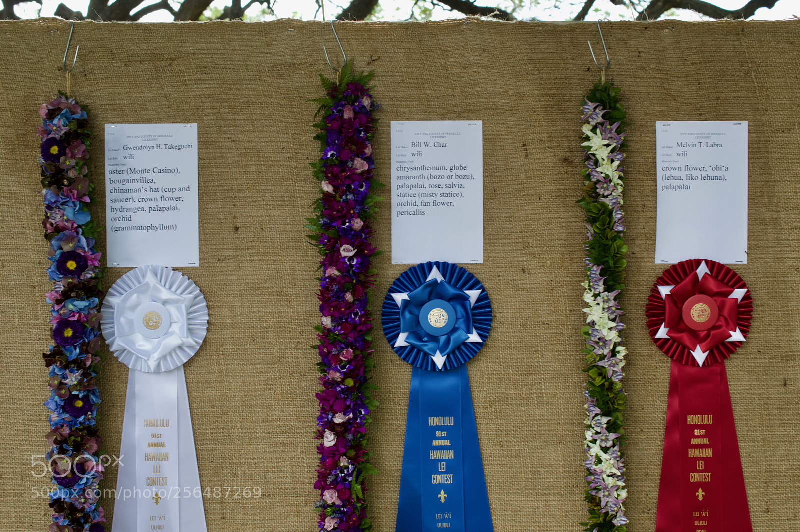 Nikon D3200 sample photo. May day is lei photography