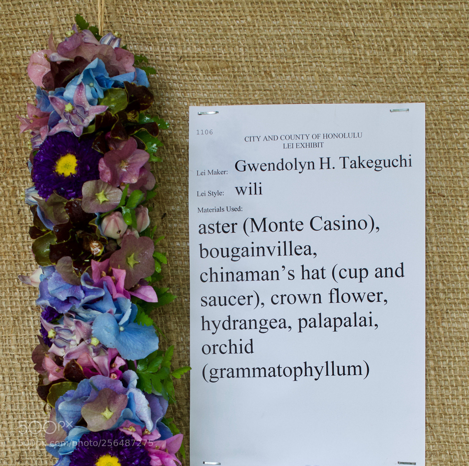 Nikon D3200 sample photo. May day is lei photography