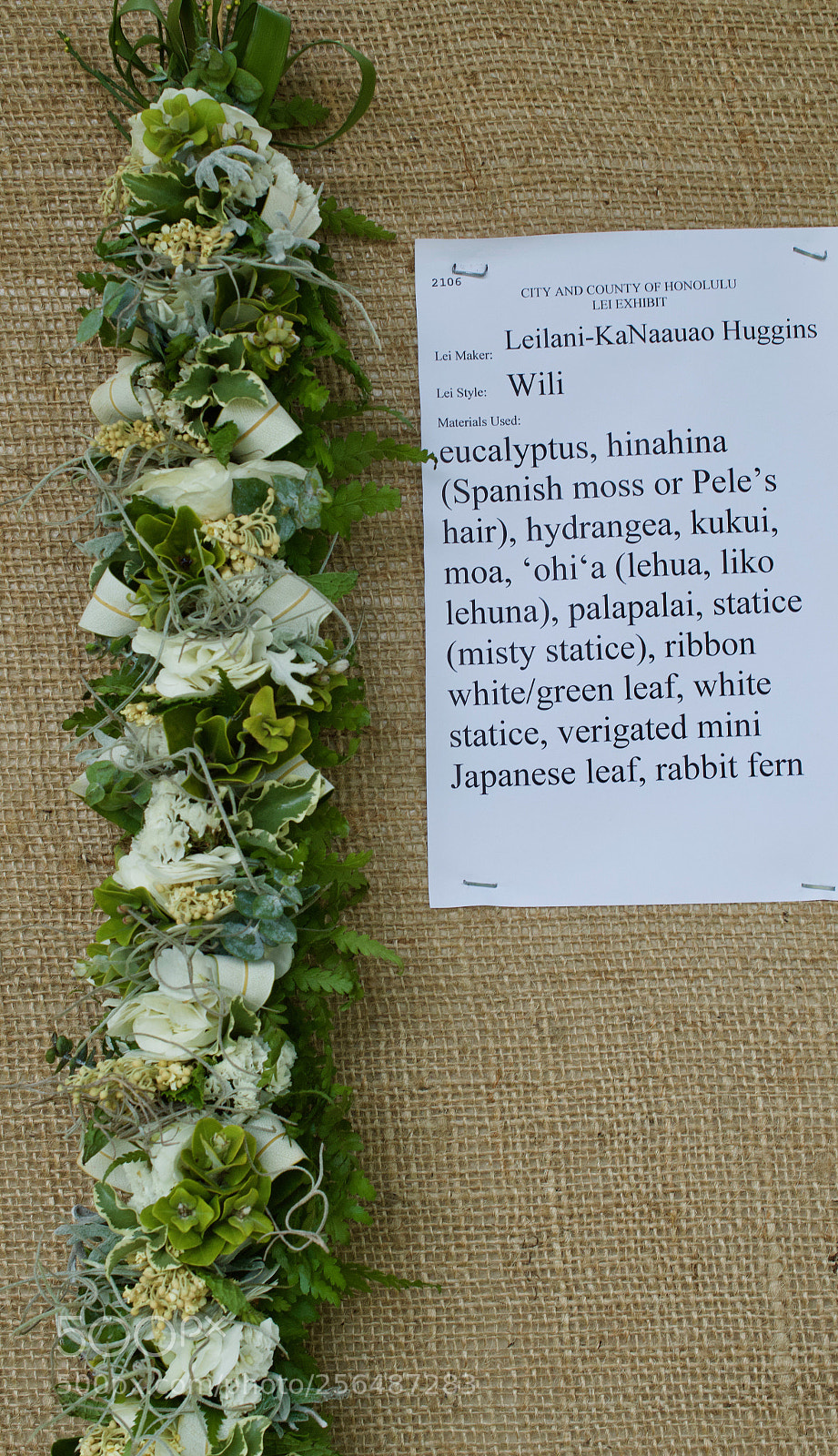 Nikon D3200 sample photo. May day is lei photography