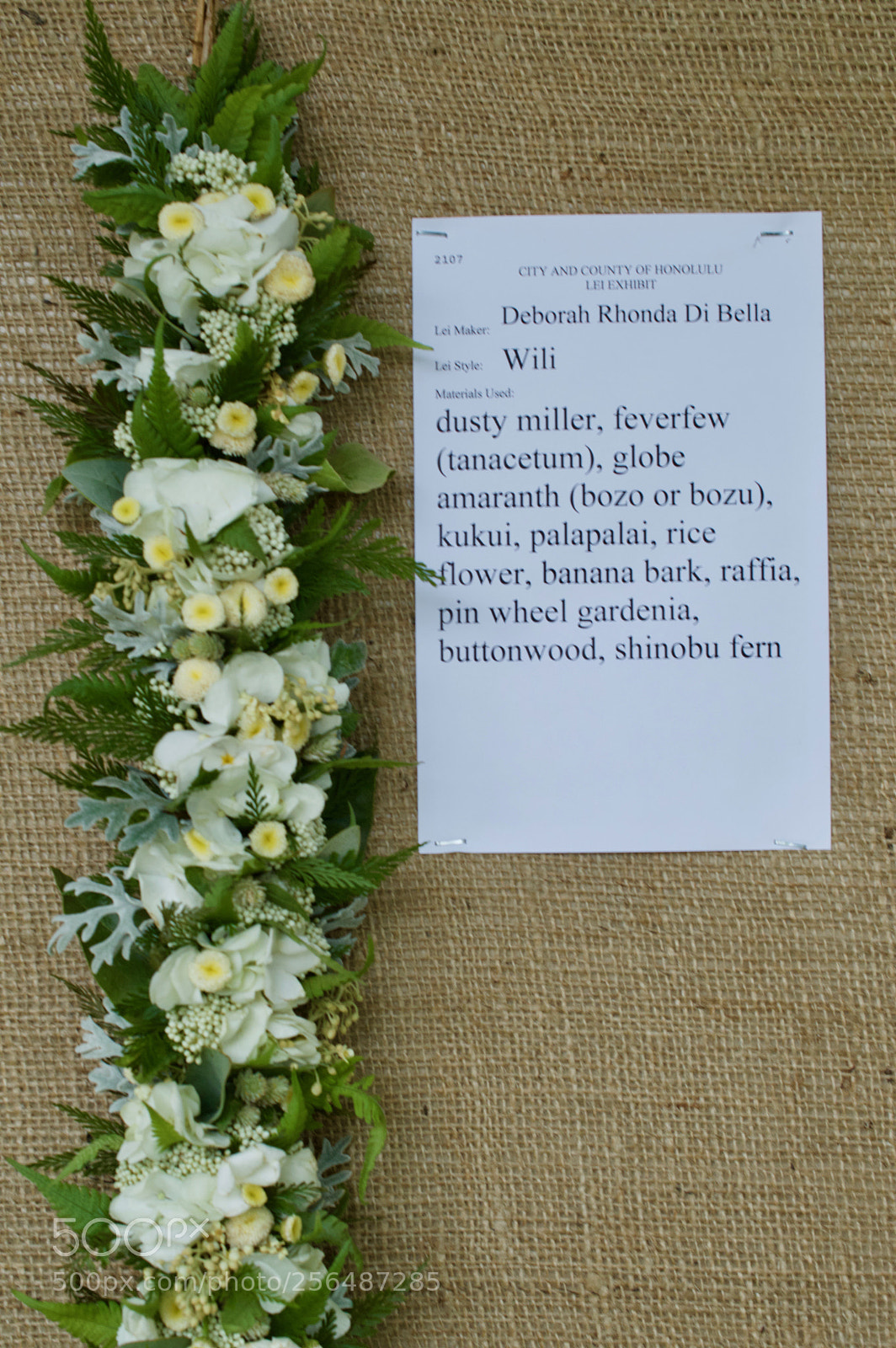 Nikon D3200 sample photo. May day is lei photography
