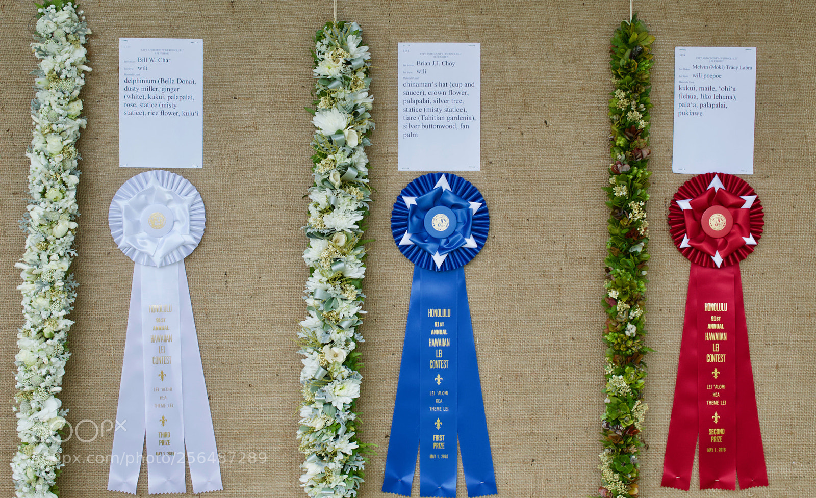 Nikon D3200 sample photo. May day is lei photography