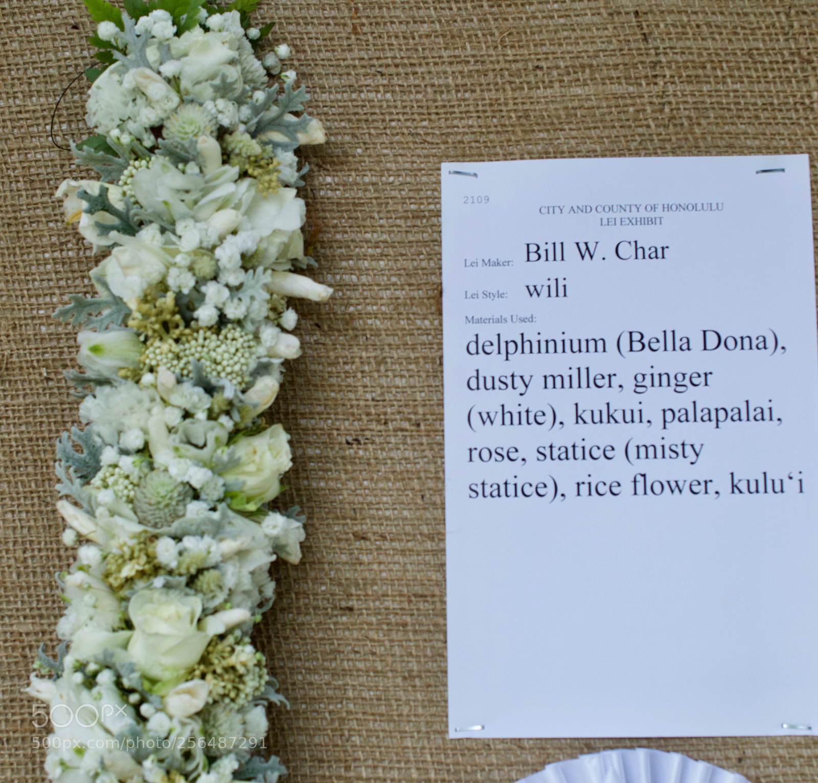 Nikon D3200 sample photo. May day is lei photography