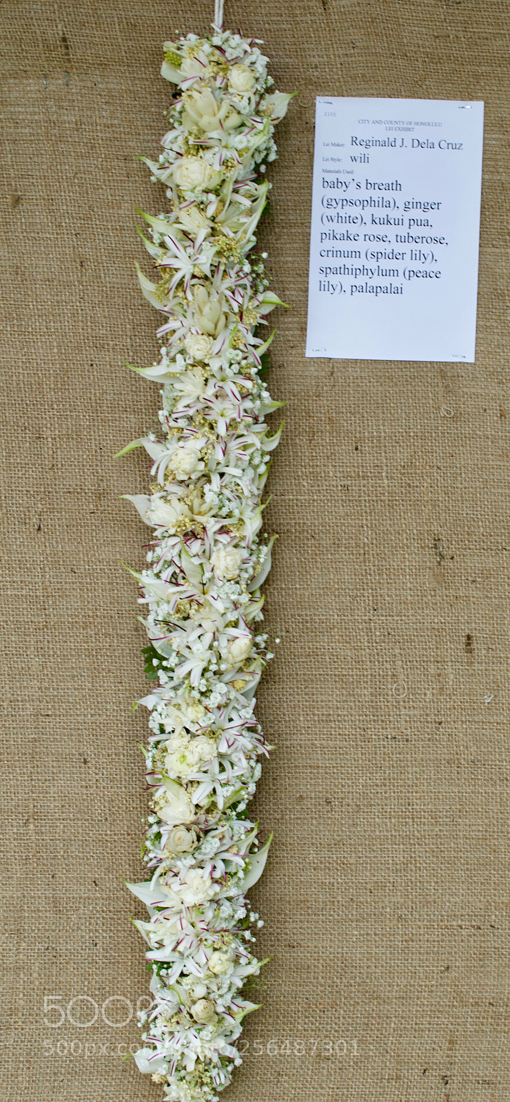 Nikon D3200 sample photo. May day is lei photography