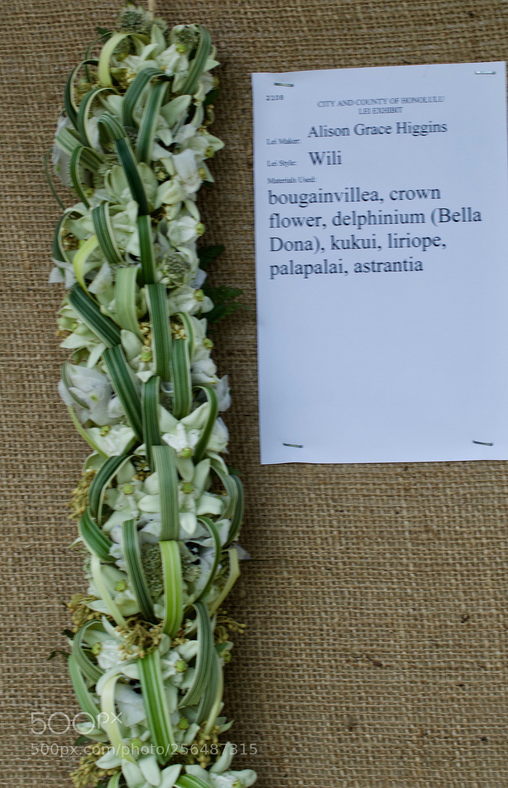 Nikon D3200 sample photo. May day is lei photography