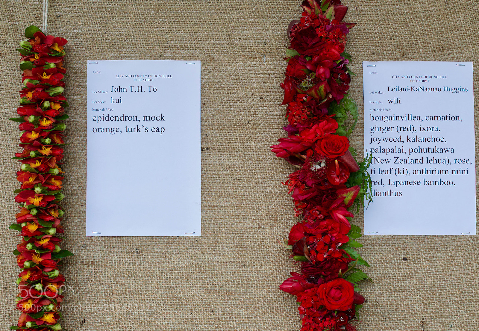 Nikon D3200 sample photo. May day is lei photography