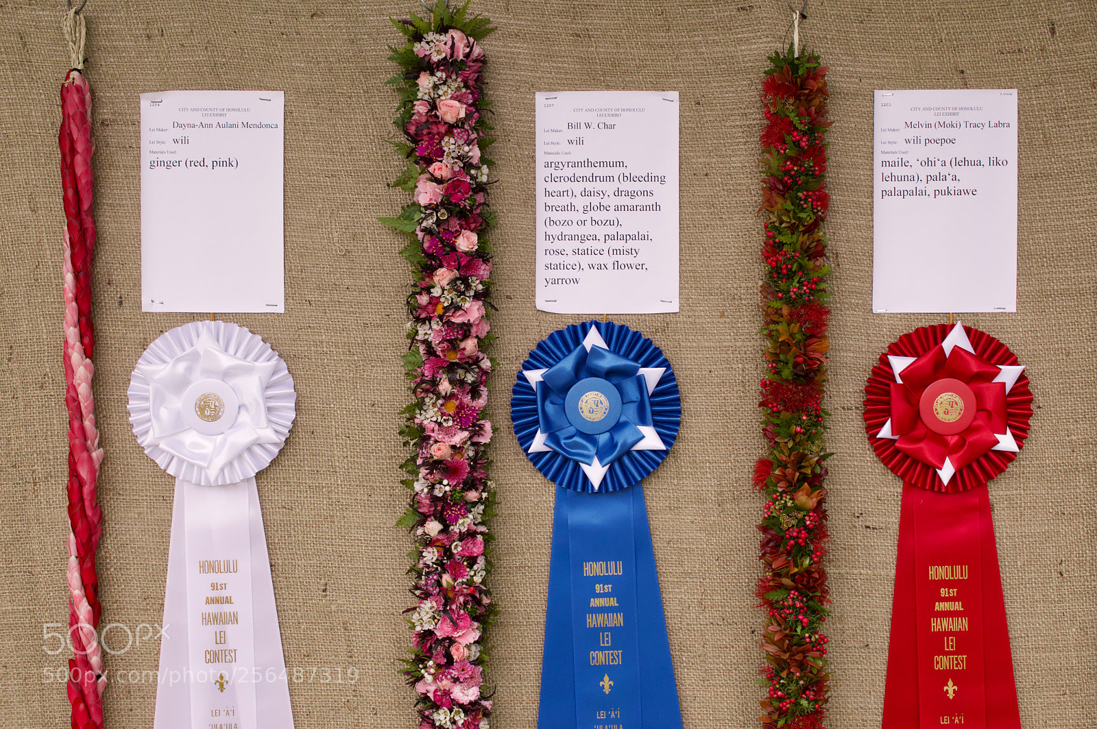 Nikon D3200 sample photo. May day is lei photography