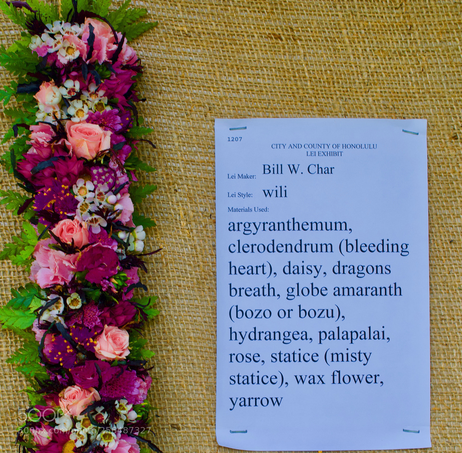 Nikon D3200 sample photo. May day is lei photography