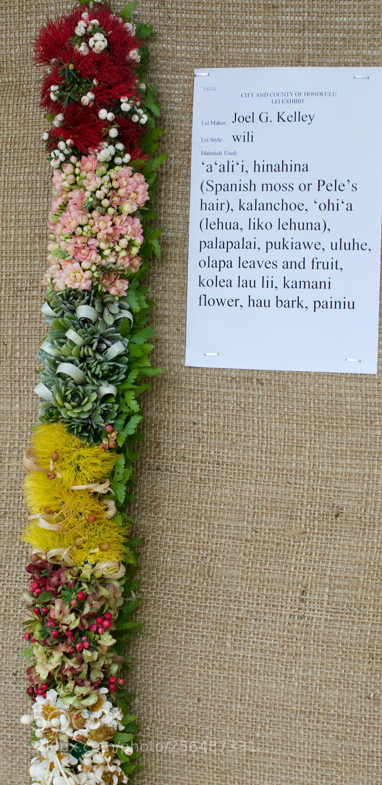 Nikon D3200 sample photo. May day is lei photography