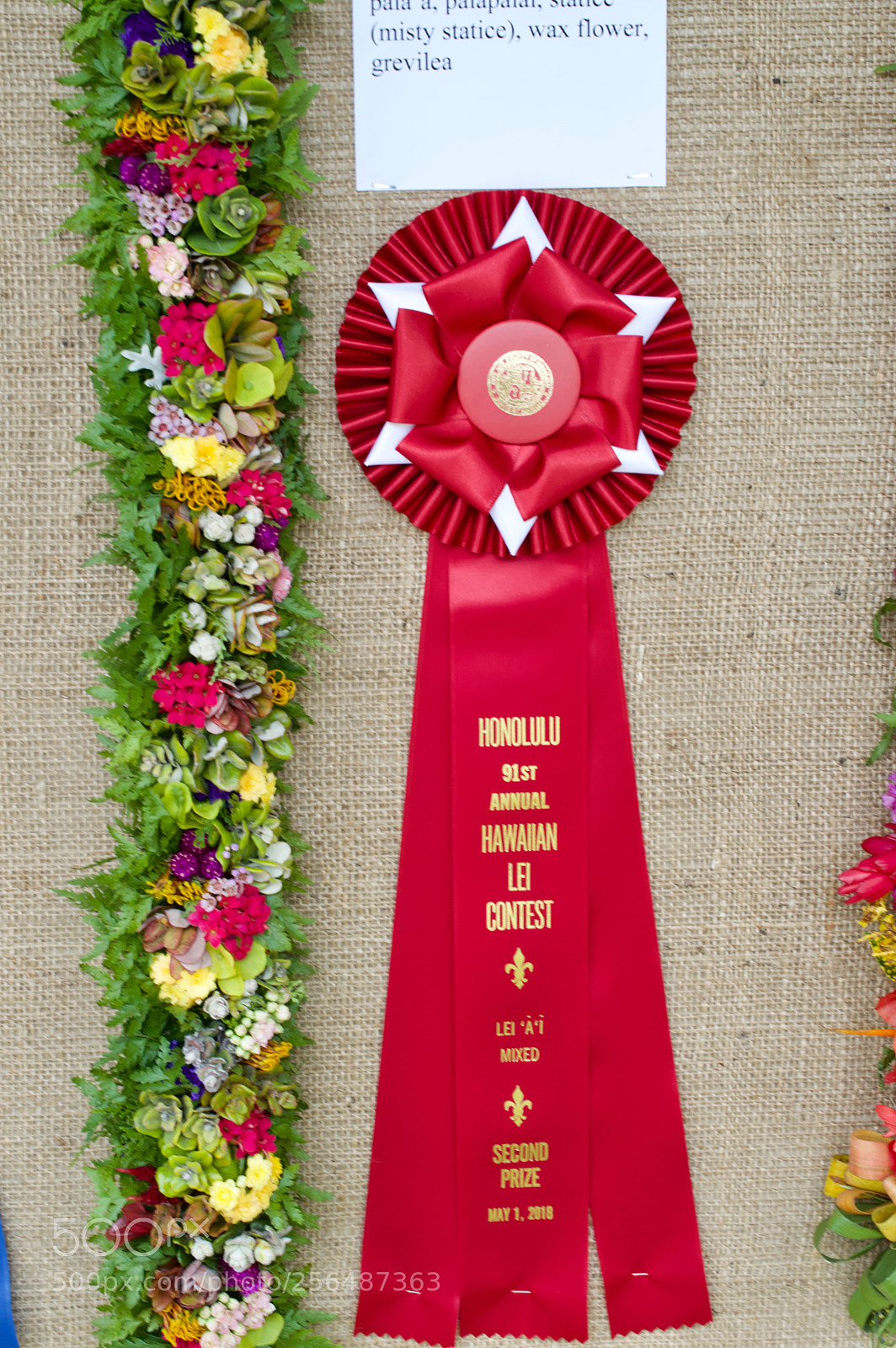 Nikon D3200 sample photo. May day is lei photography