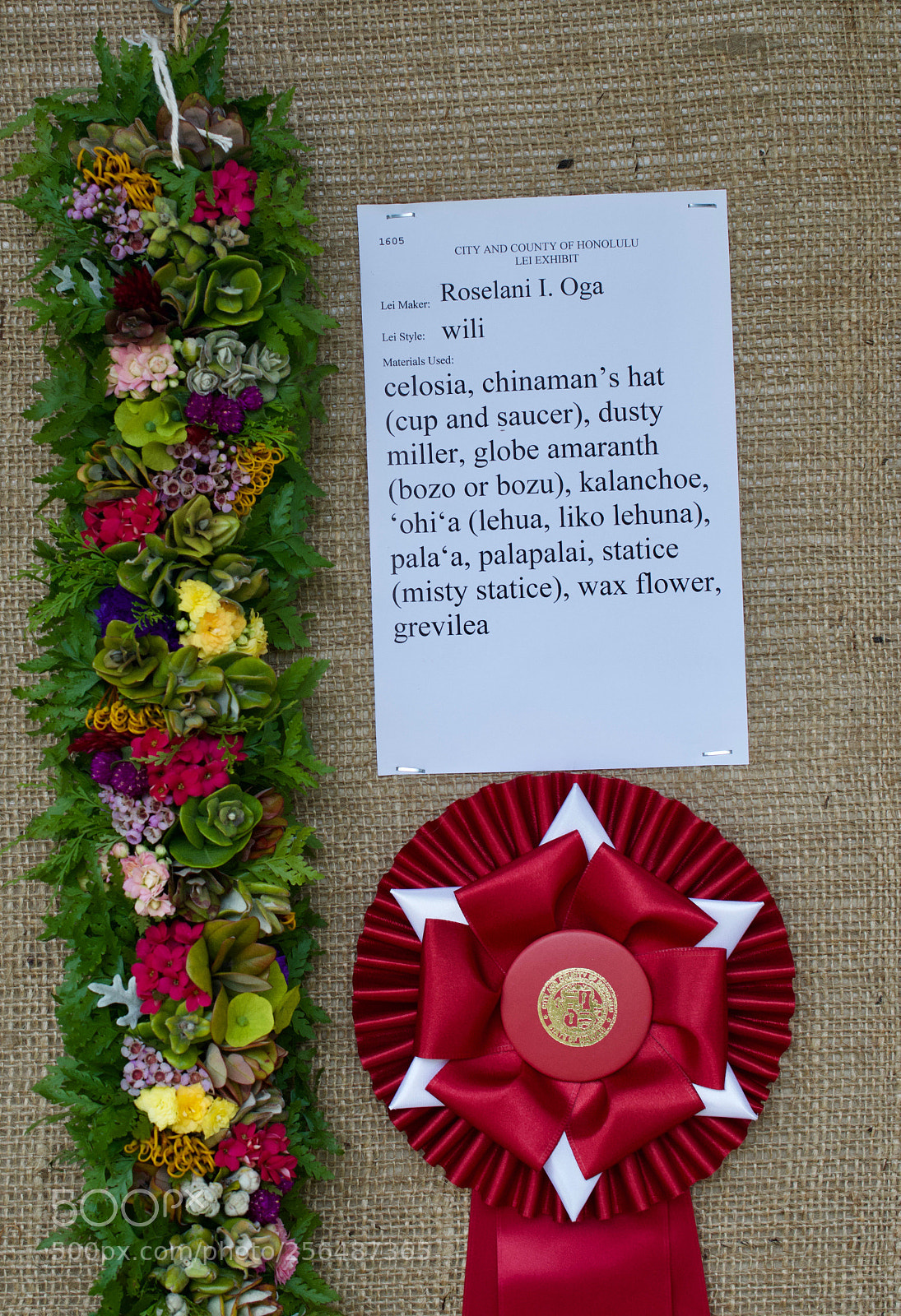Nikon D3200 sample photo. May day is lei photography