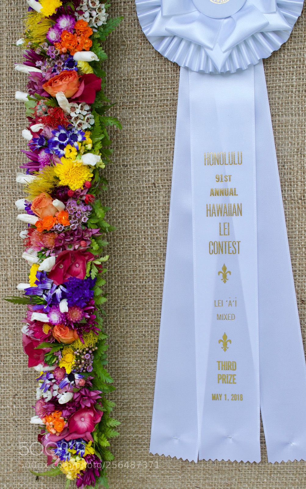 Nikon D3200 sample photo. May day is lei photography