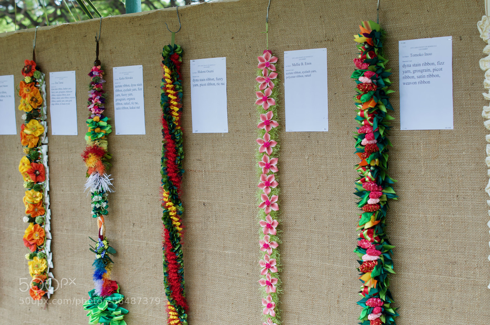 Nikon D3200 sample photo. May day is lei photography