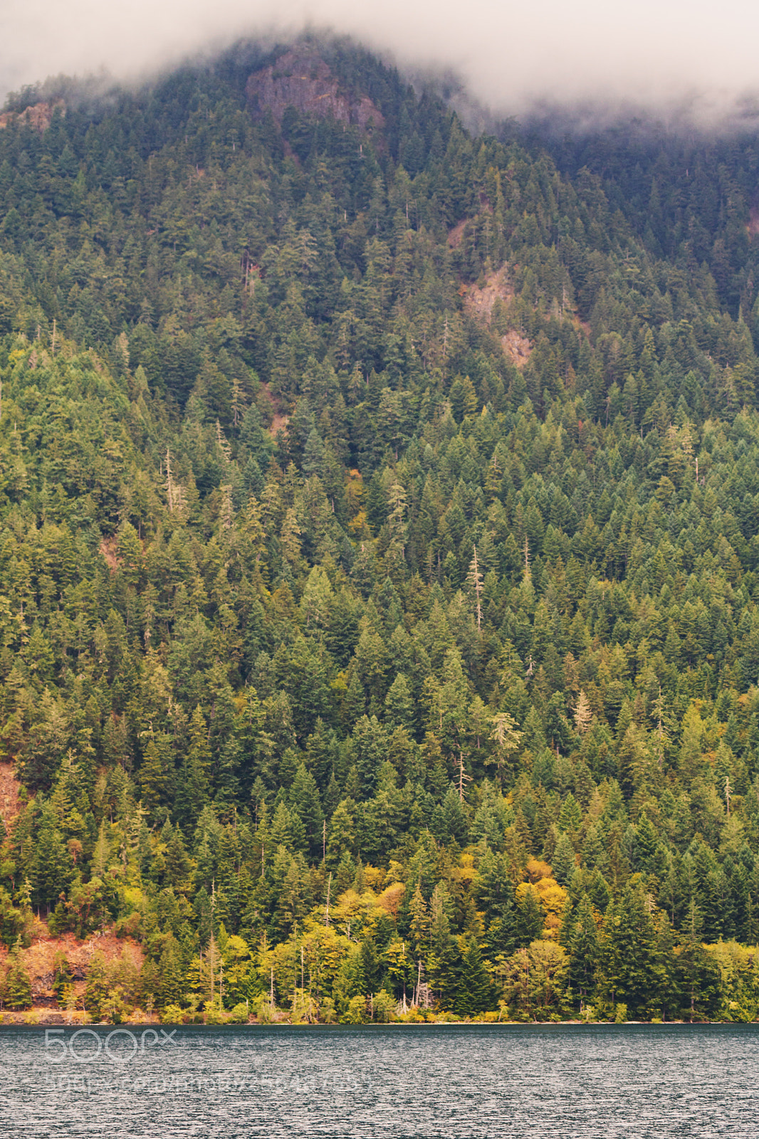 Canon EOS 750D (EOS Rebel T6i / EOS Kiss X8i) sample photo. Misty mountain base photography