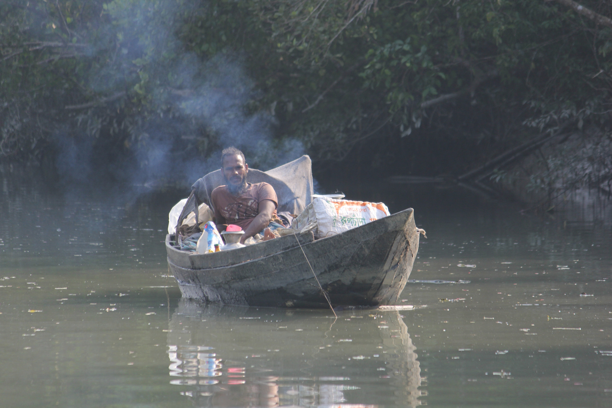 Canon EF-S 55-250mm F4-5.6 IS II sample photo. Life in mangrove forest photography