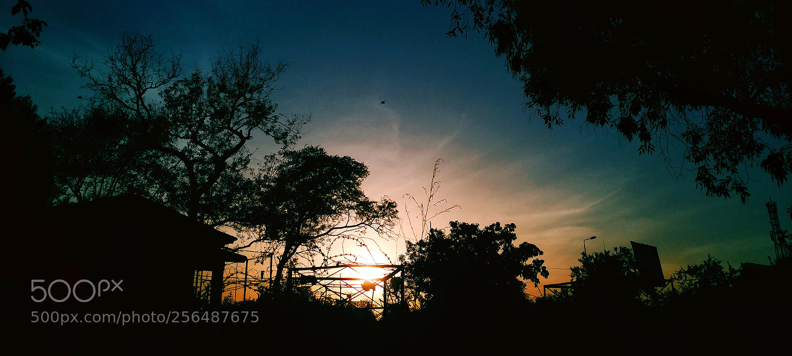 LG V20 sample photo. Untitled photography