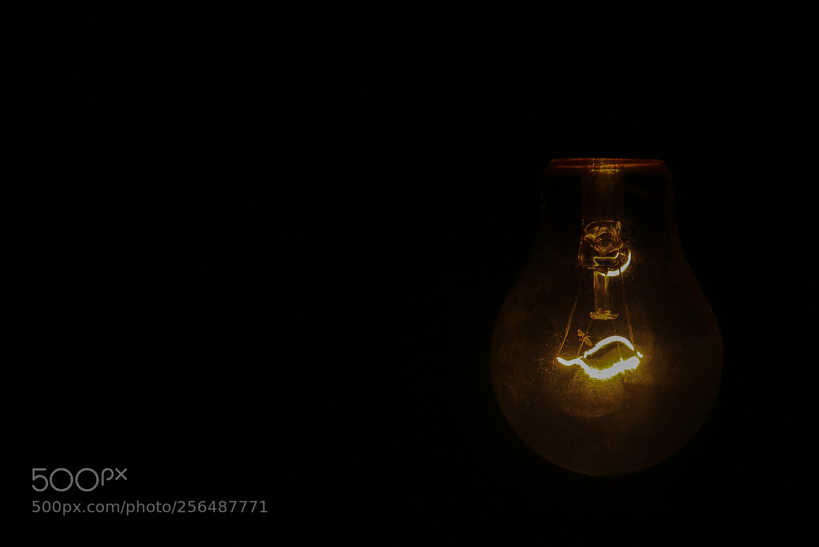 Canon EOS 70D sample photo. Untitled photography