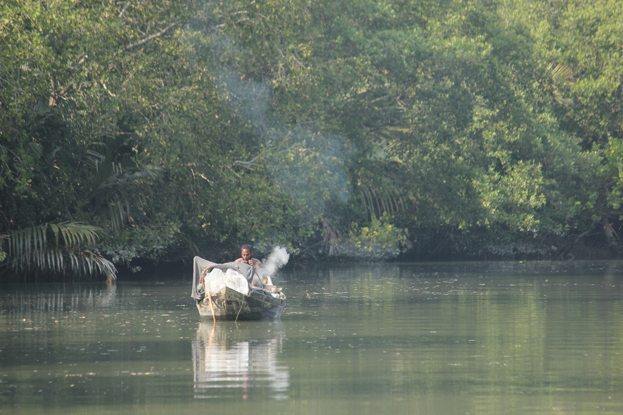 Canon EF-S 55-250mm F4-5.6 IS II sample photo. Life in mangrove forest photography