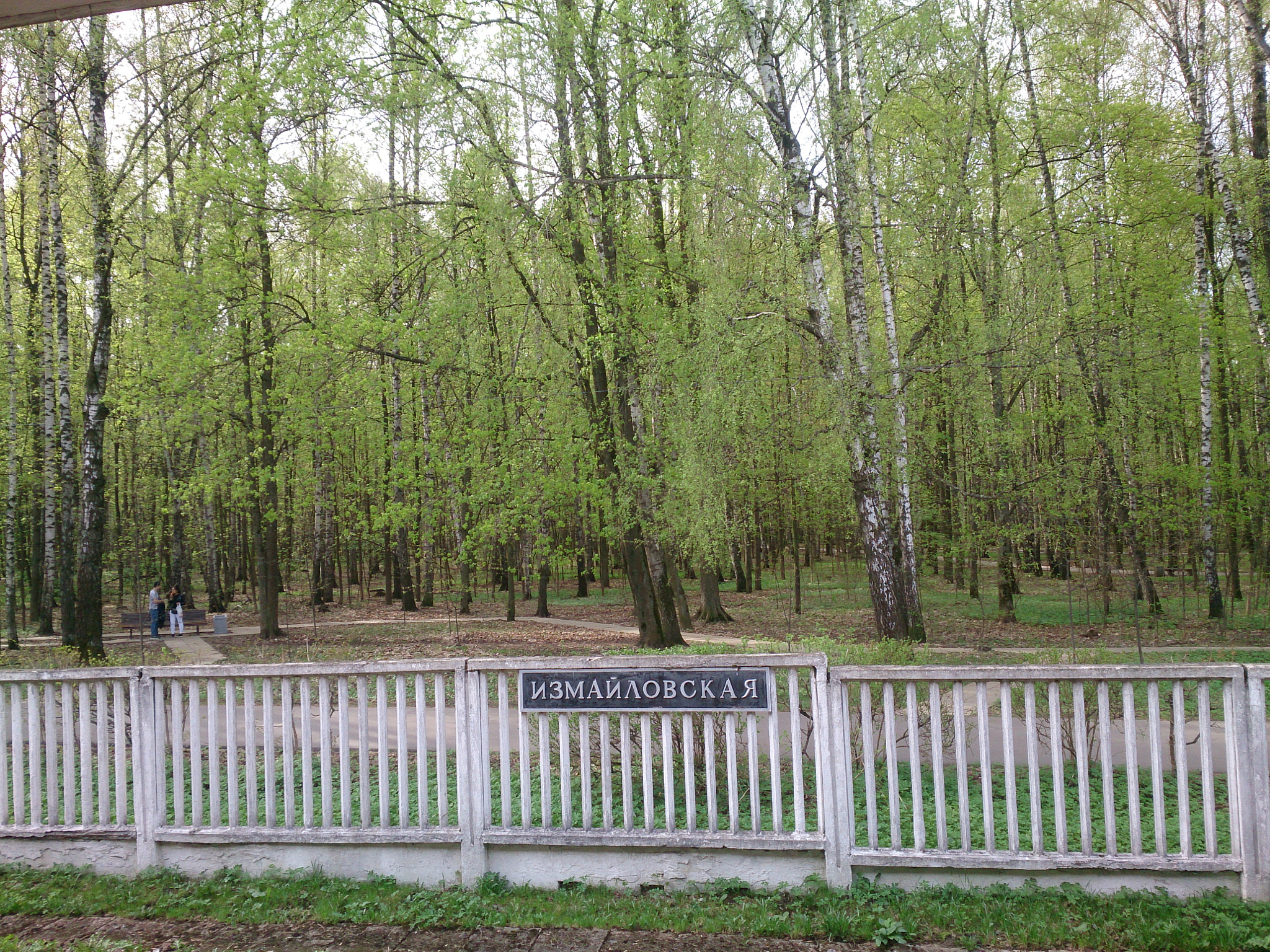 Sony Xperia ZR sample photo. Измайловский парк photography