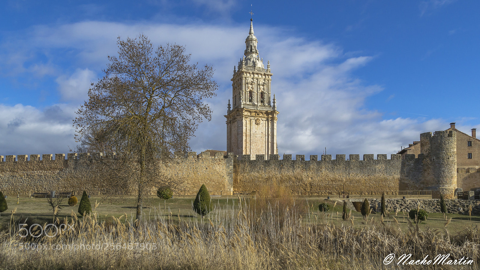 Nikon D3100 sample photo. Burgo de osma photography