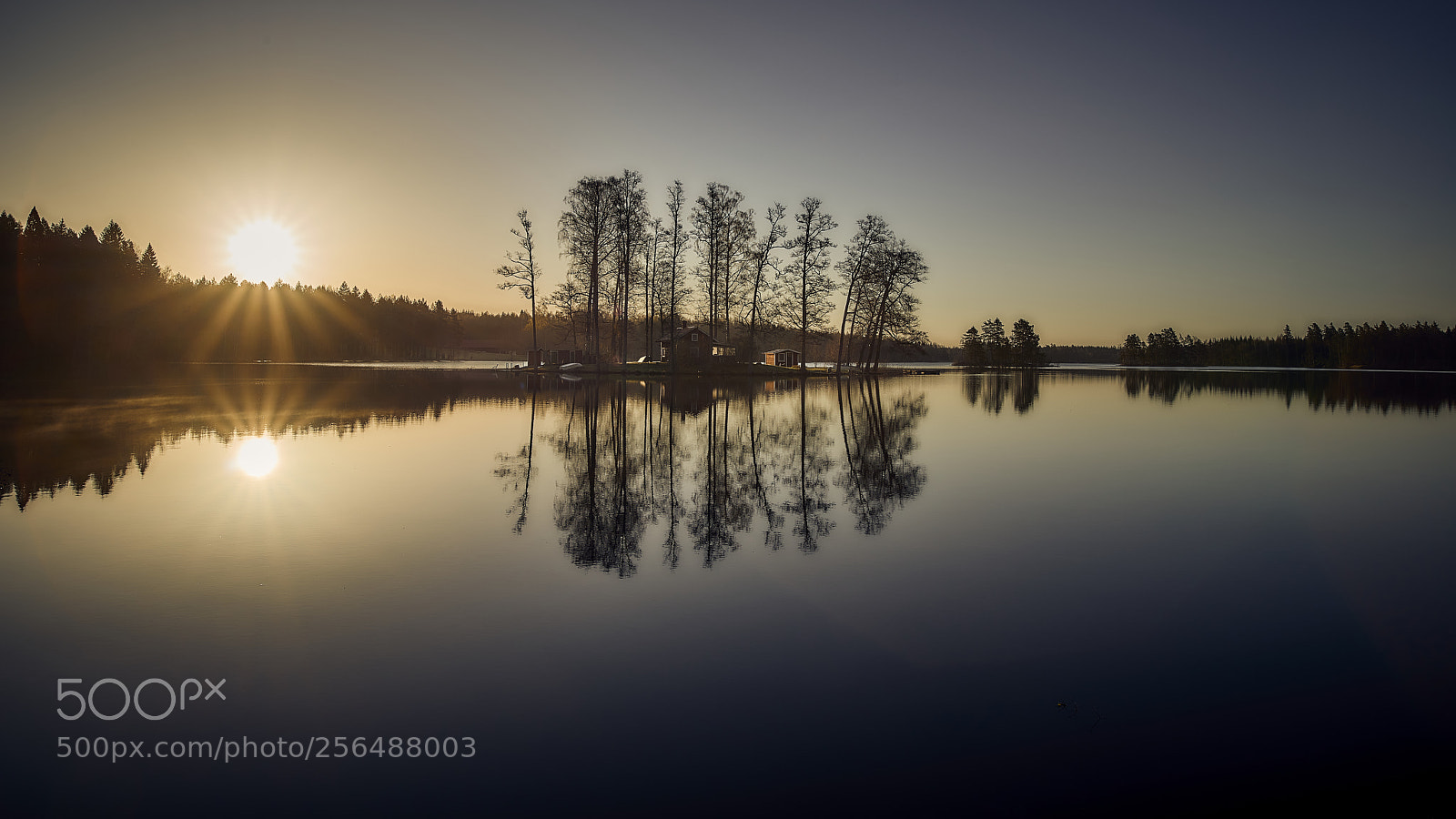 Nikon D800E sample photo. Reflections in the morning photography