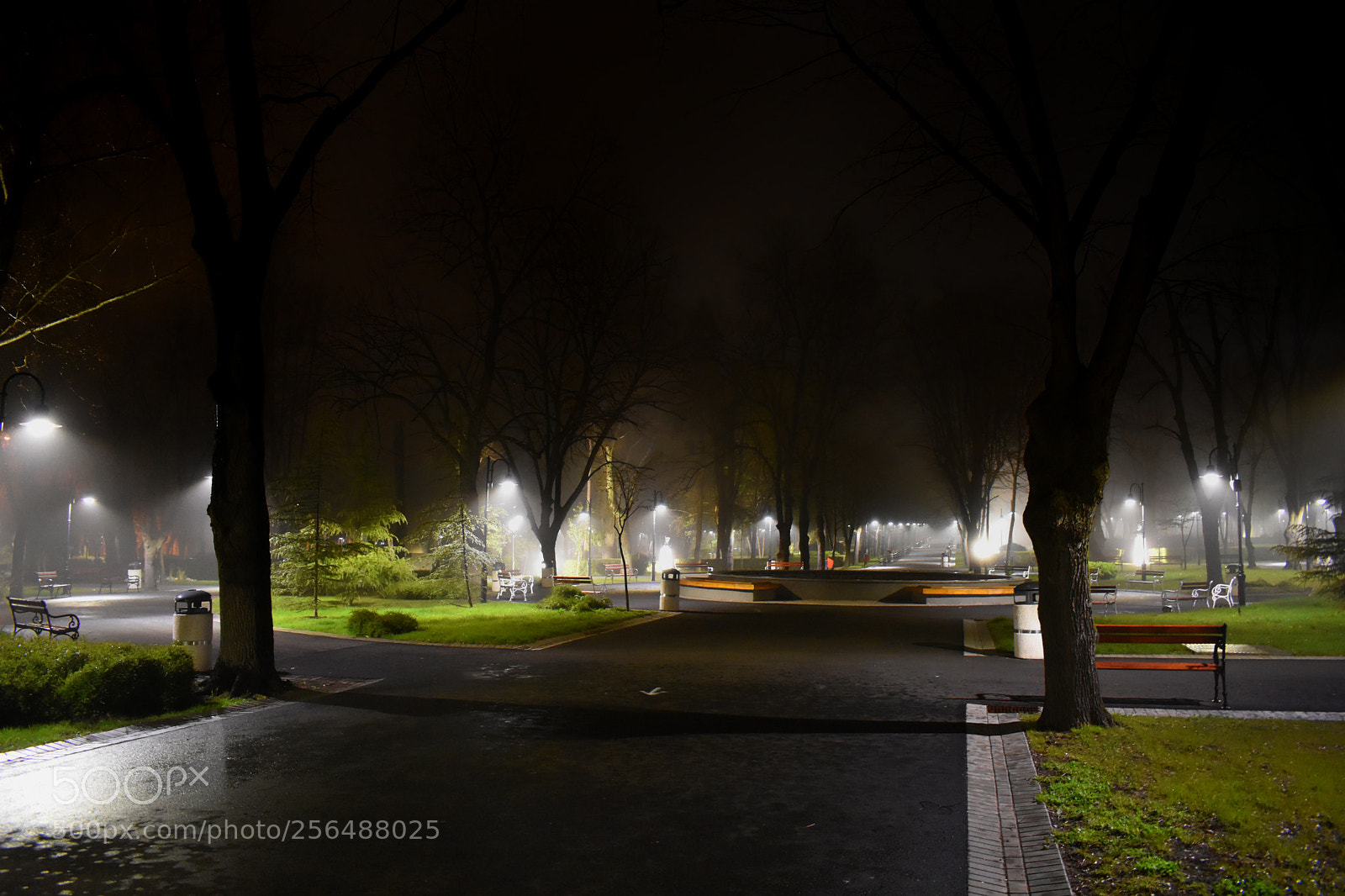 Nikon D3400 sample photo. Midnight fog photography