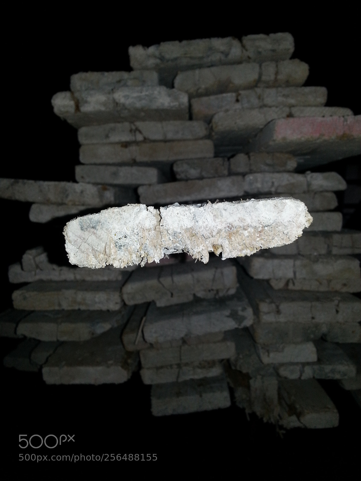 Samsung Galaxy S3 sample photo. Wood photography