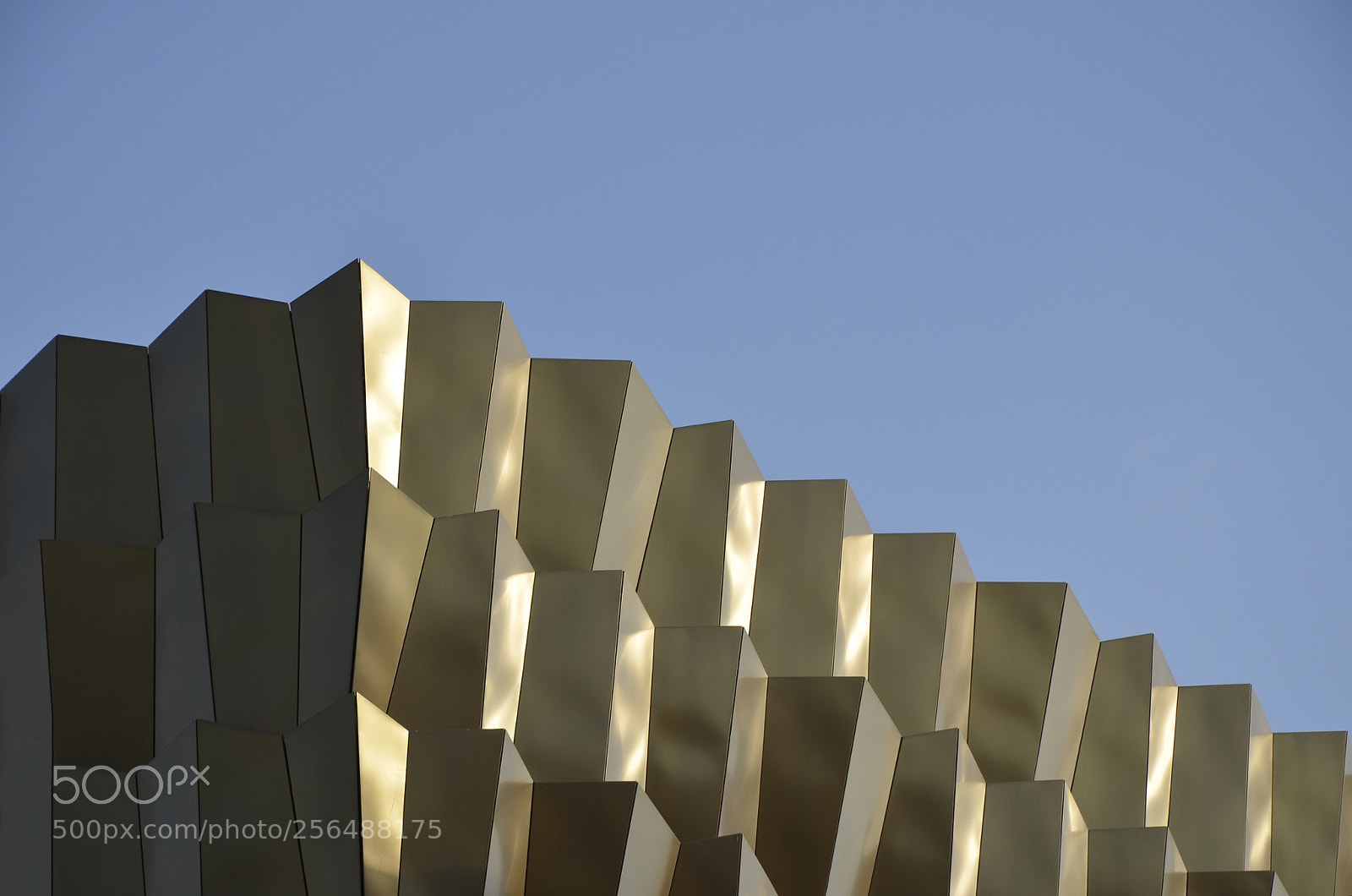 Nikon D7000 sample photo. Dragon abstract photography