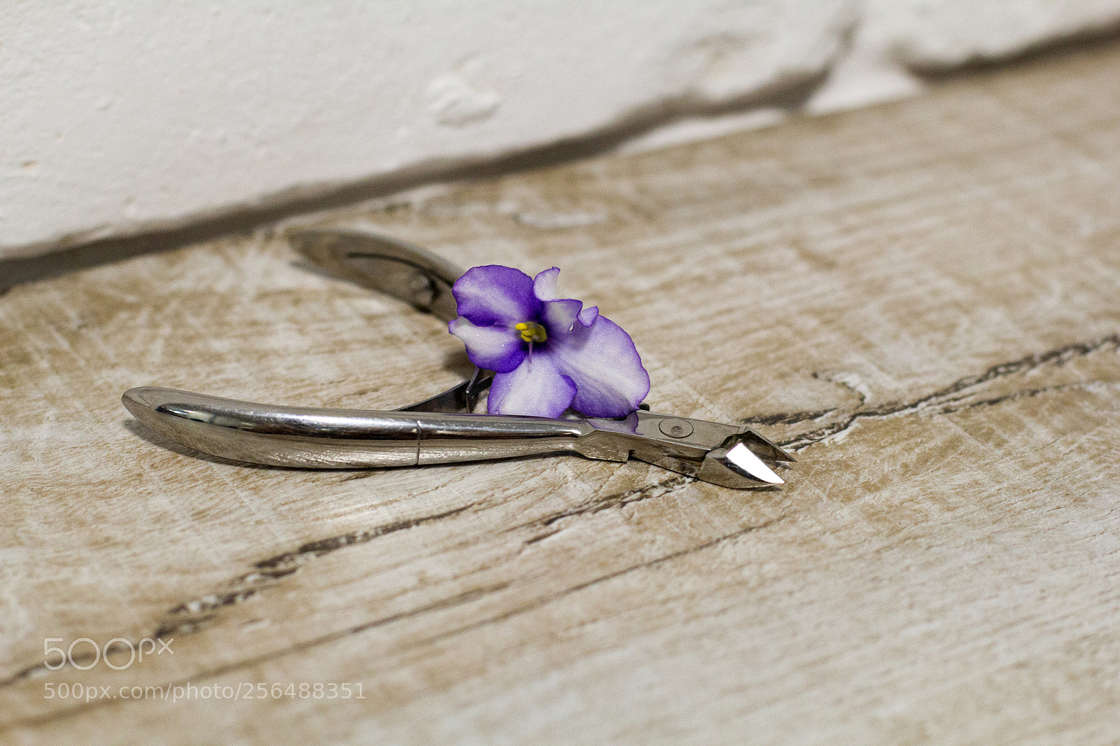 Canon EOS 60D sample photo. Zatochka_kr photography