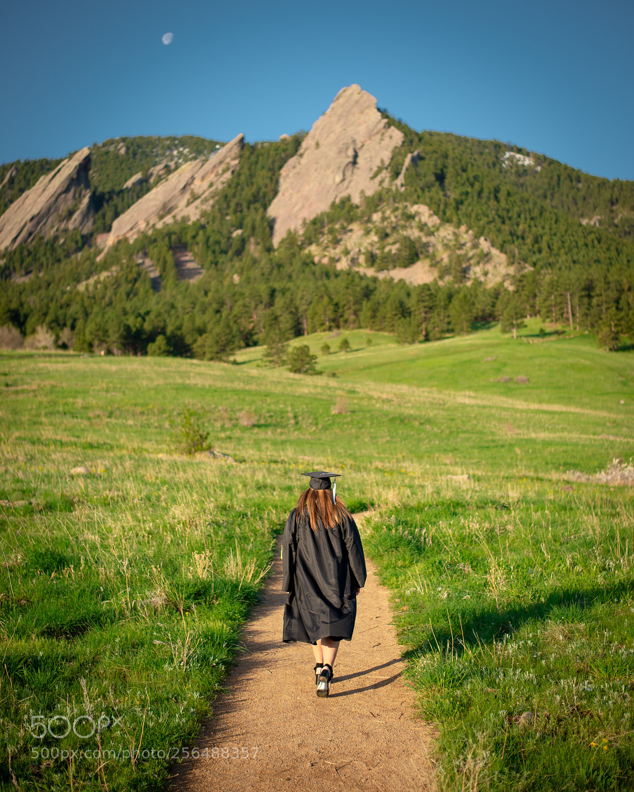 Nikon D800E sample photo. On a path to photography