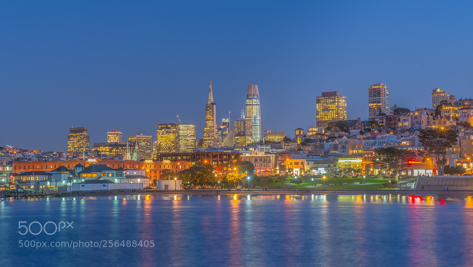 Nikon D600 sample photo. San francisco cityscape photography