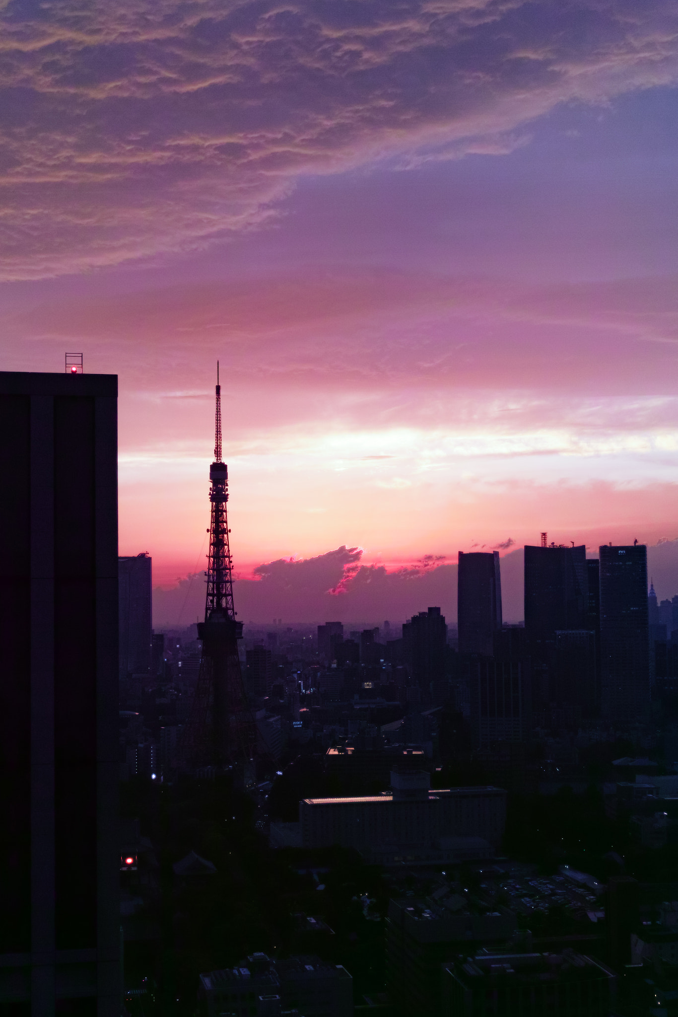 Sigma DP2 Merrill sample photo. Tokyo tower and sunset photography